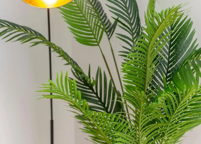 Velluto Lägenhet Albufeira